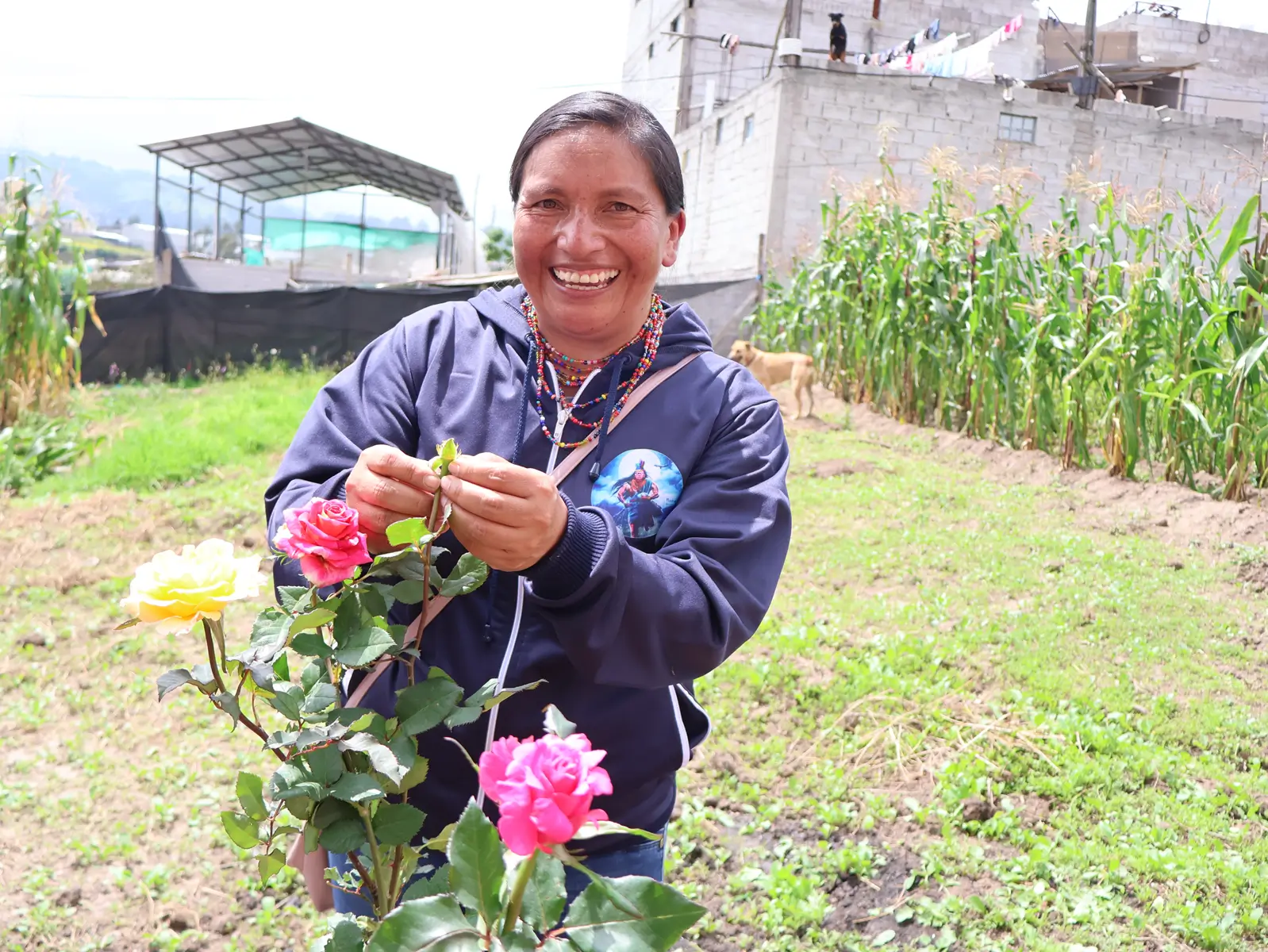 Building Safer, Stronger Communities in Pifo