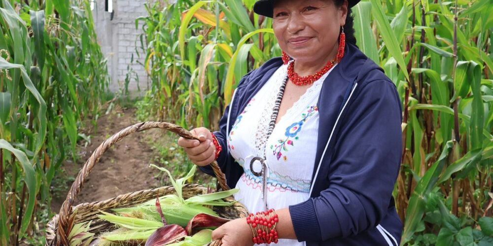 Community-Led Eco-Tourism Celebrating Local Culture and Heritage in Pifo, Ecuador | Photo: Danielle Children's Fund Ecuador (DCF) | Image provided by DCF Community members take part in an activity linked to the Pakakuna and Independent Traders of Pifo initiative in Ecuador. The image highlights local traditions, cultural knowledge and community participation as part of an eco-tourism initiative that supports sustainable livelihoods and local development.